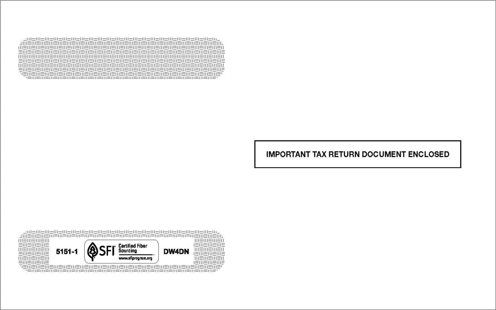 Double Window W-2 Envelope for L4DN (DW4DN or 51511)