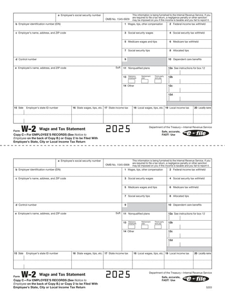 W-2 Employee Copy 2 or C Form 5203 – W-2TaxForms.com