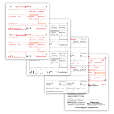 W-2 Set, 6-Part, Alternate Package